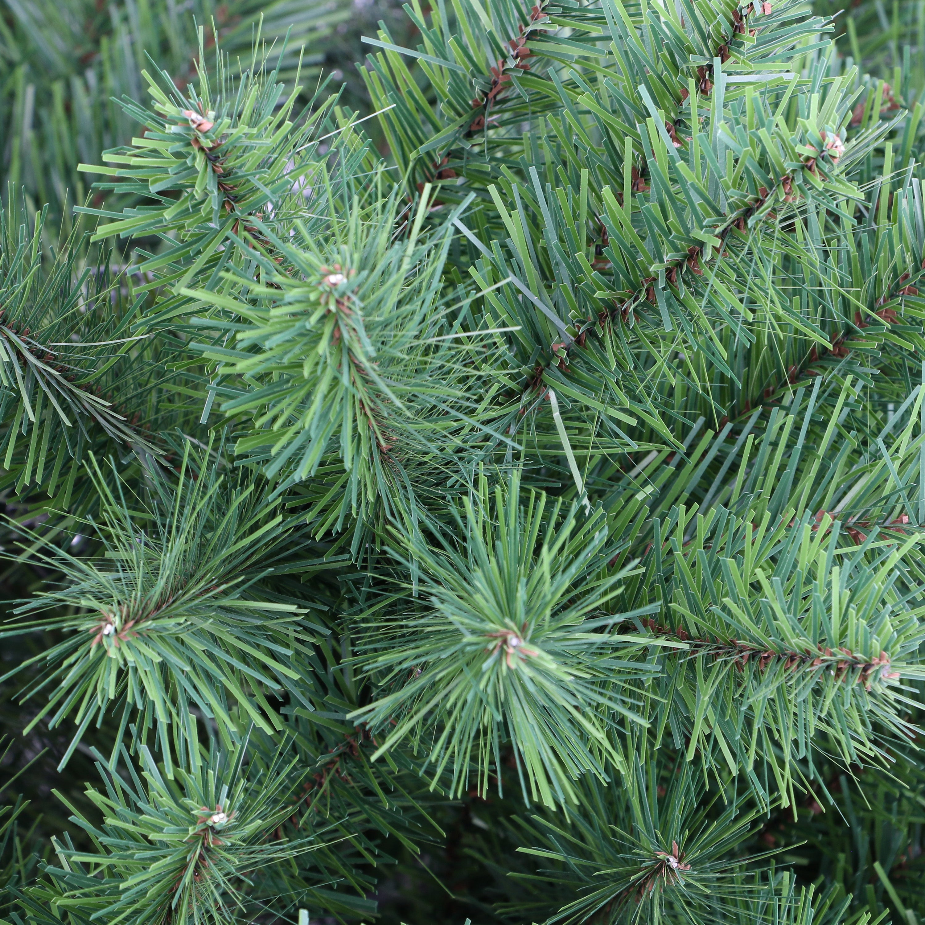 6.5ft Northern Fir Christmas Tree